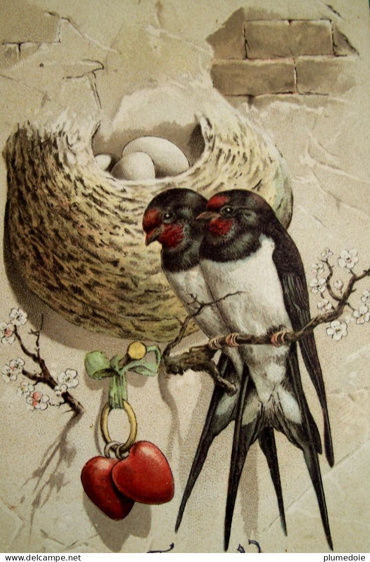 Cpa ST VALENTIN Oiseaux HIRONDELLES  NID COEURS PENDENTIF 1915 BIRDS NEAR NEST SWALLOWS VALENTINE OLD PC - Valentijnsdag