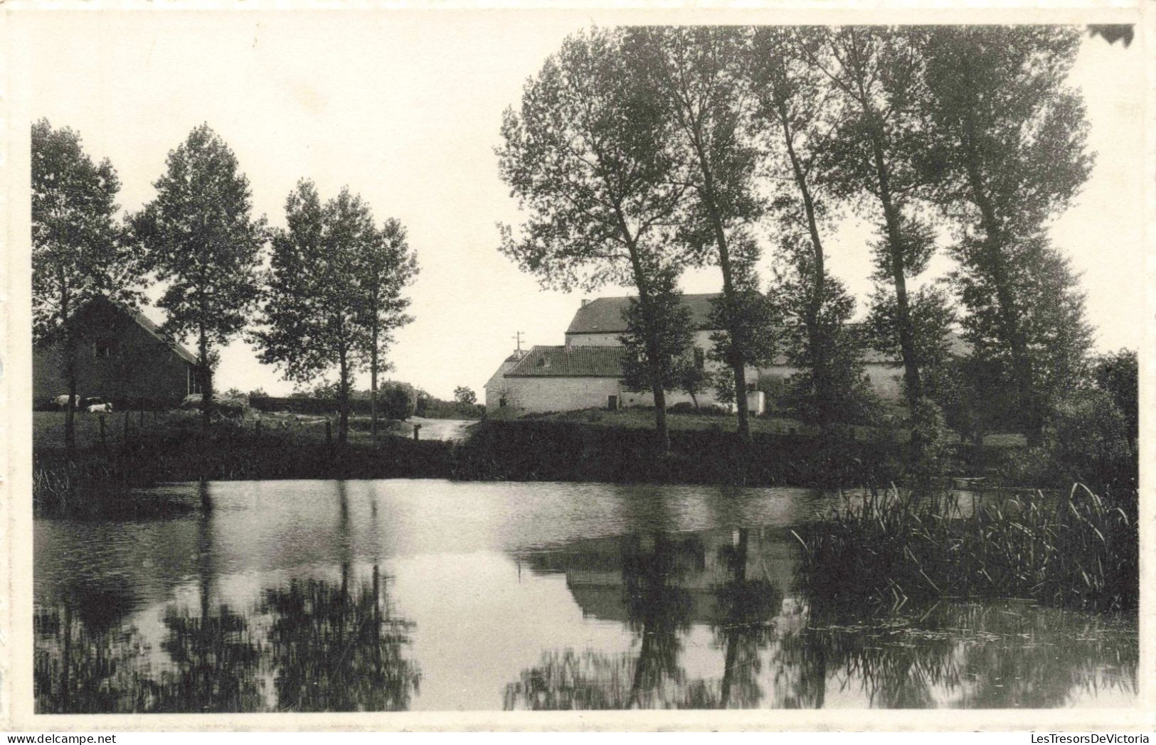 BELGIQUE - Soignies - Horrues - L'Etang Et Ferme De L'Eclatière (Belle-Croix) - Carte Postale Ancienne - Soignies