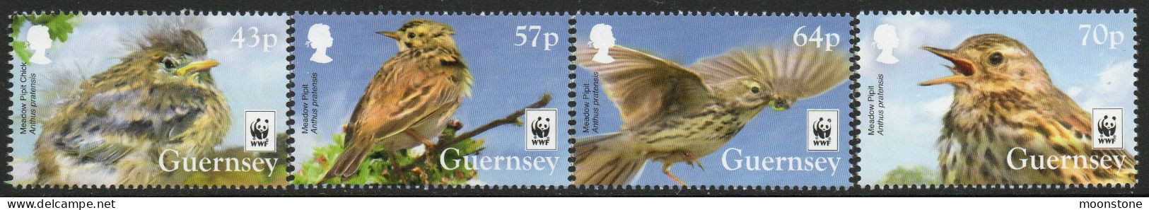 Guernsey 2017 Endangered Species, Meadow Pipit Bird Set Of 4, MNH , SG 1651/4 - Guernesey