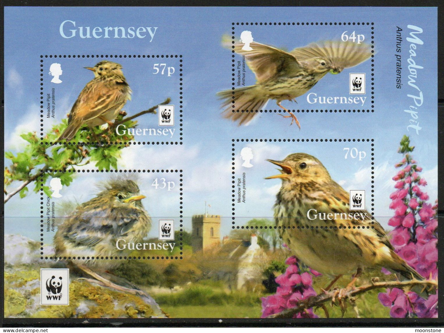 Guernsey 2017 Endangered Species, Meadow Pipit Bird MS, MNH , SG 1655 - Guernesey