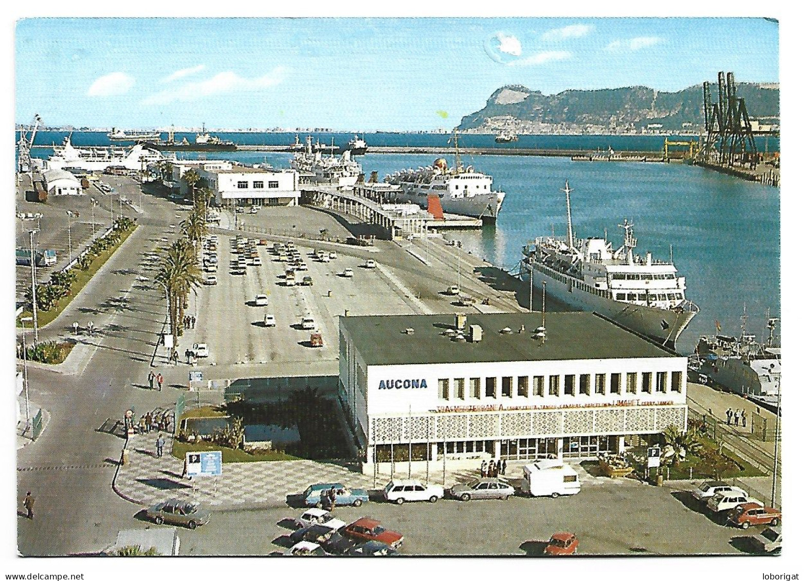 PUERTO / PORT.-  ALGECIRAS - CADIZ .- ( ESPAÑA ).- WSA - Cádiz