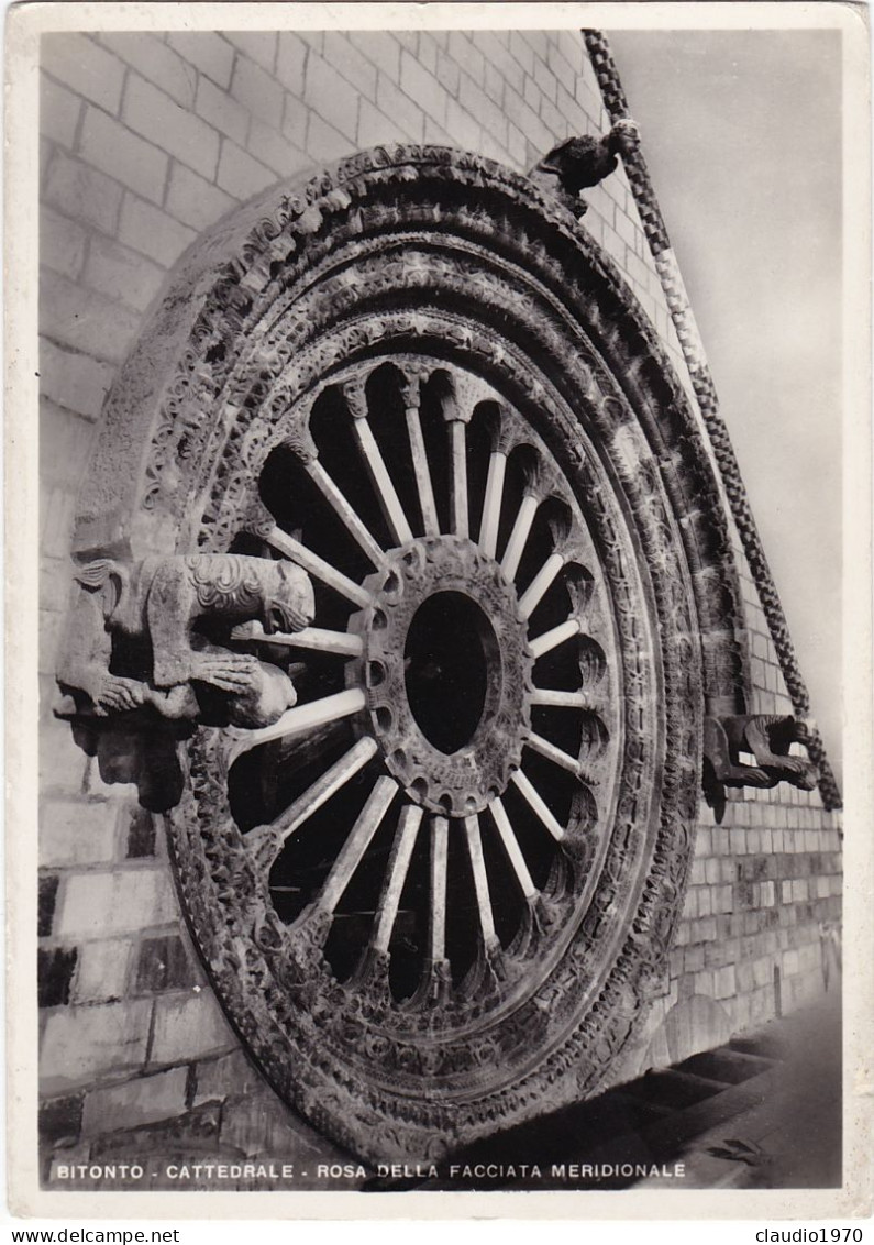 BITONTO - CARTOLINA - CATTEDRALE - ROSA DELLA FACCIATA MERIDIONALE - Bitonto