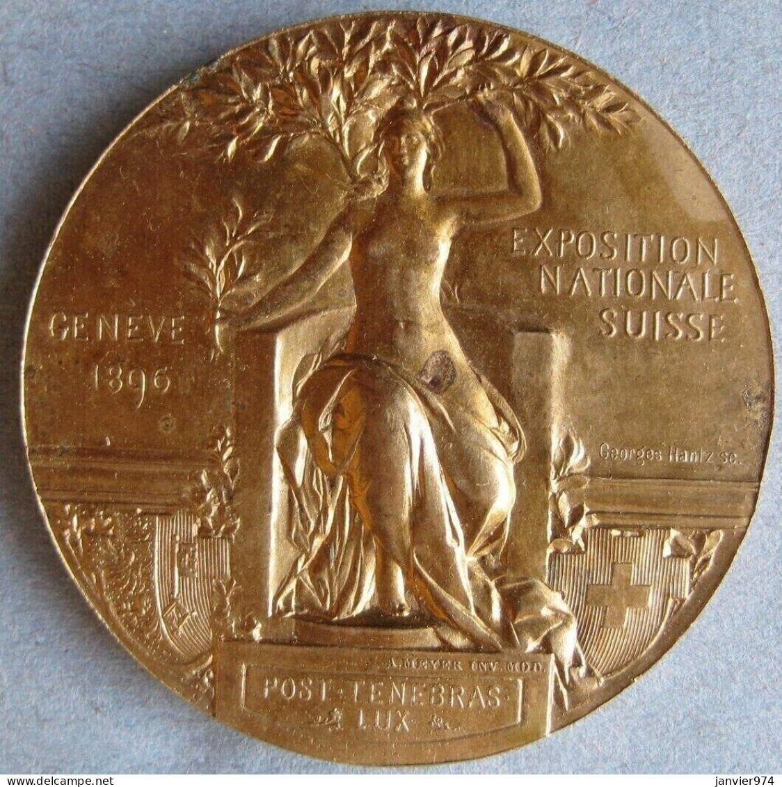 Suisse Médaille Argent Vermeil Exposition Nationale Genève 1896 JURY, Par Bovy - Otros & Sin Clasificación