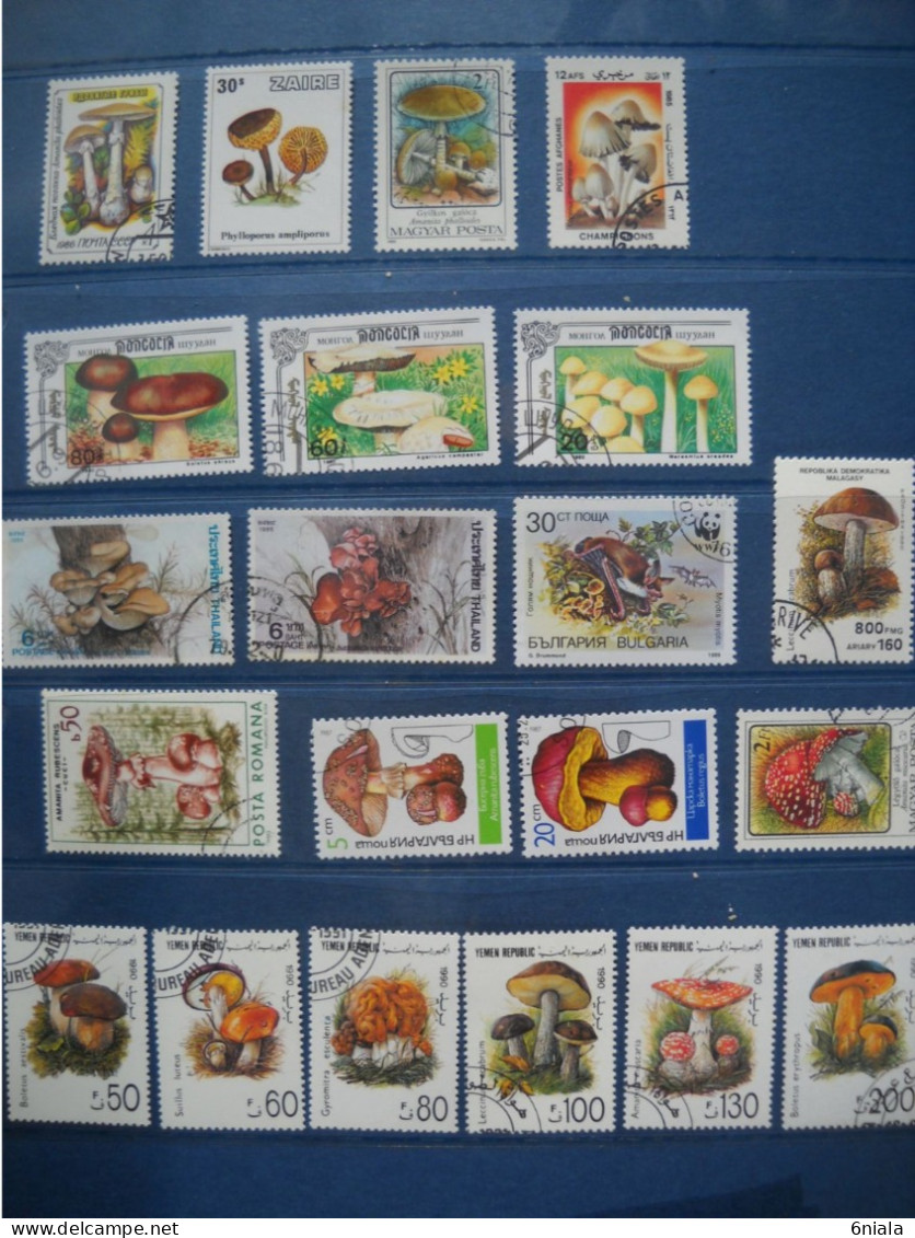 T 263 Lot De Timbres Champignons Champignon (mushrooms Funghi    (21 Timbres) - Champignons