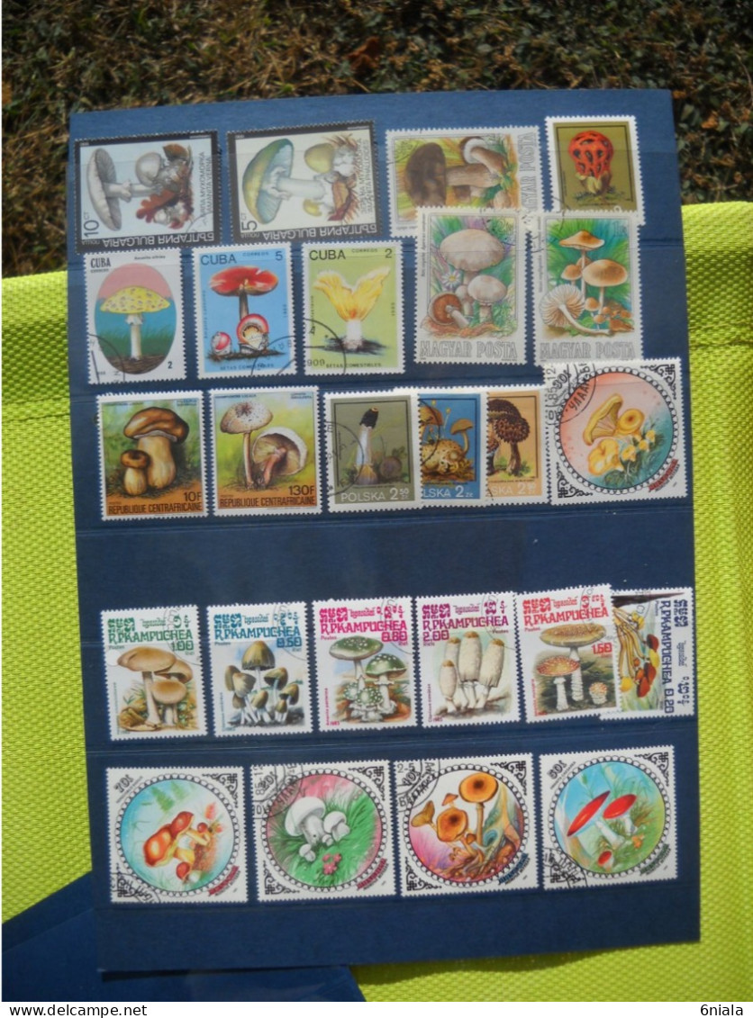 T 269 Lot De Timbres Champignons Champignon ( Mushrooms Funghi    (25 Timbres) - Champignons