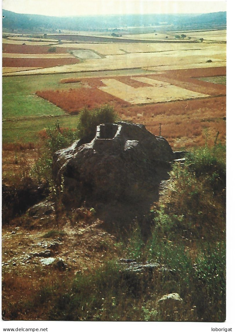 SARCOFAGO MEDIEVAL TALLADO EN LA ROCA.-  CALATAÑAZOR.-  SORIA.- ( ESPAÑA ). - Soria