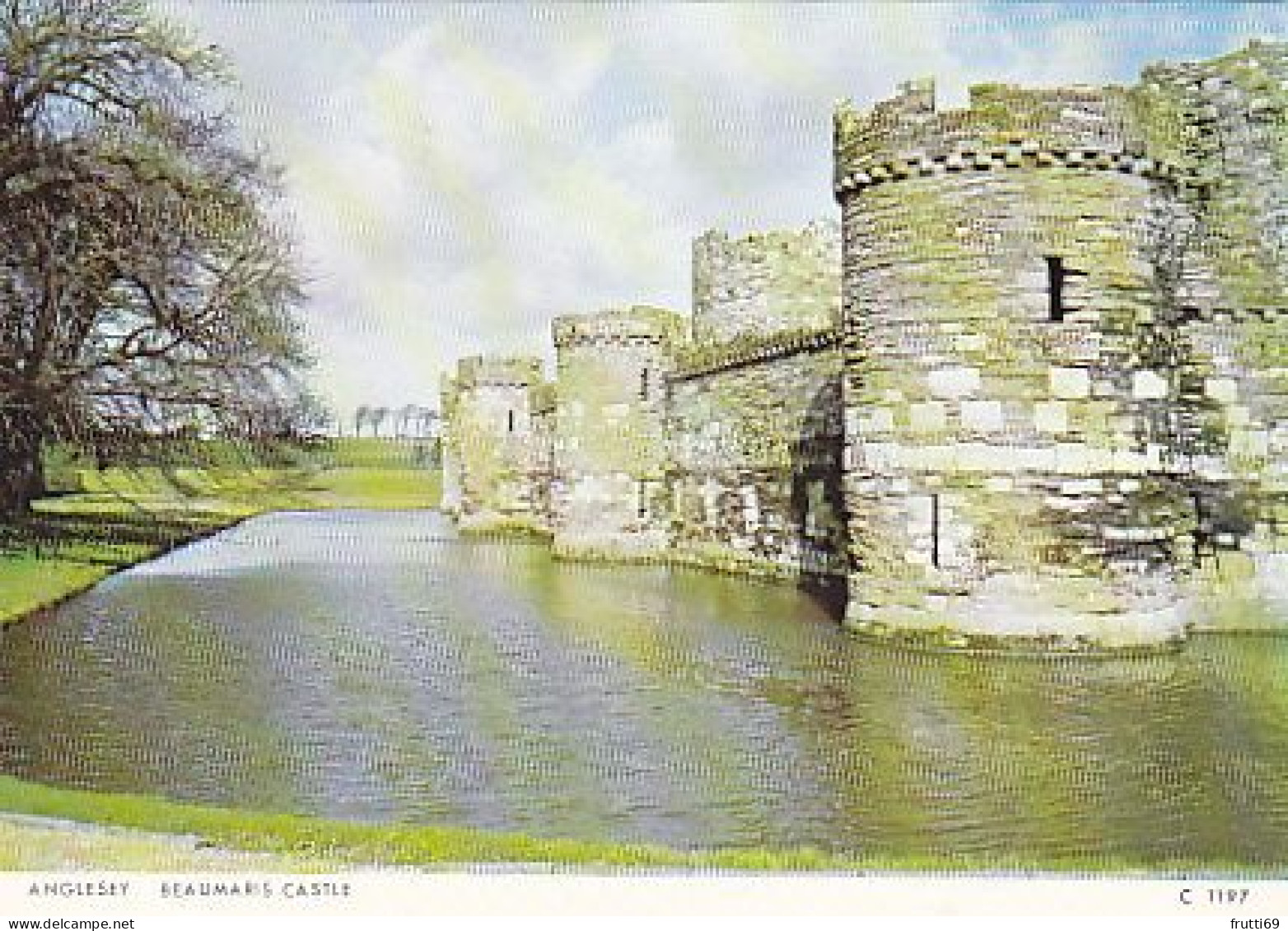 AK 173748 WALES - Anglesey - Beaumaris Castle - Anglesey