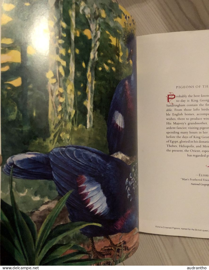 livre THE SPLENDOR OF BIRDS - art et photographies des plus beaux oiseaux du national geographic Washington C.Herbert.