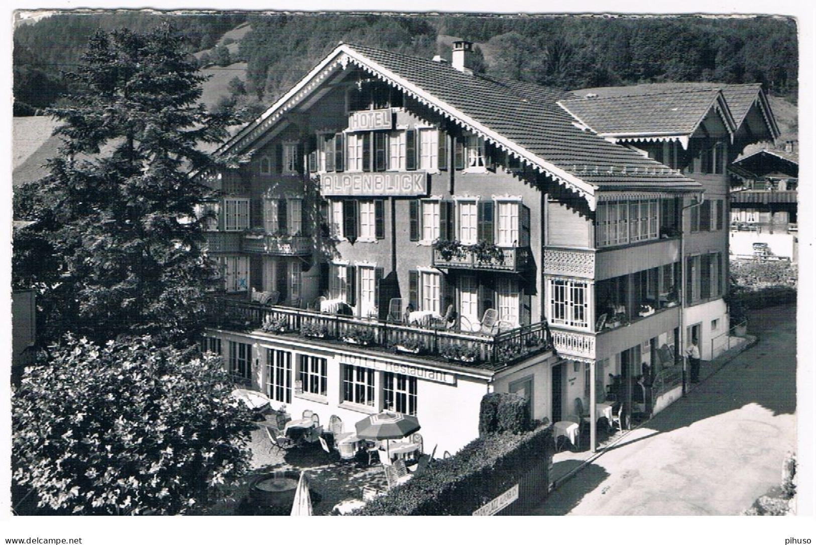 CH-8089  WILDERSWIL : Hotel Alpenblick ( E. Gyger 3812 ) - Wilderswil