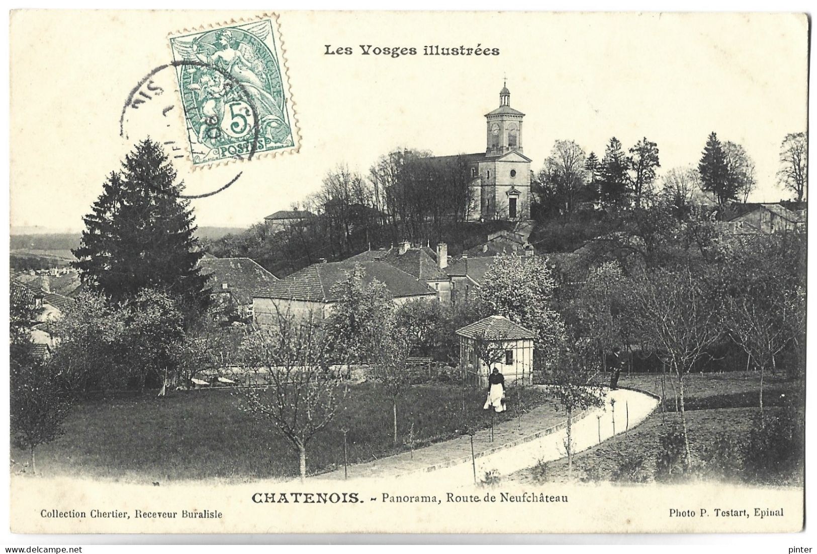 CHATENOIS - Panorama, Route Du Neufchâteau - Chatenois