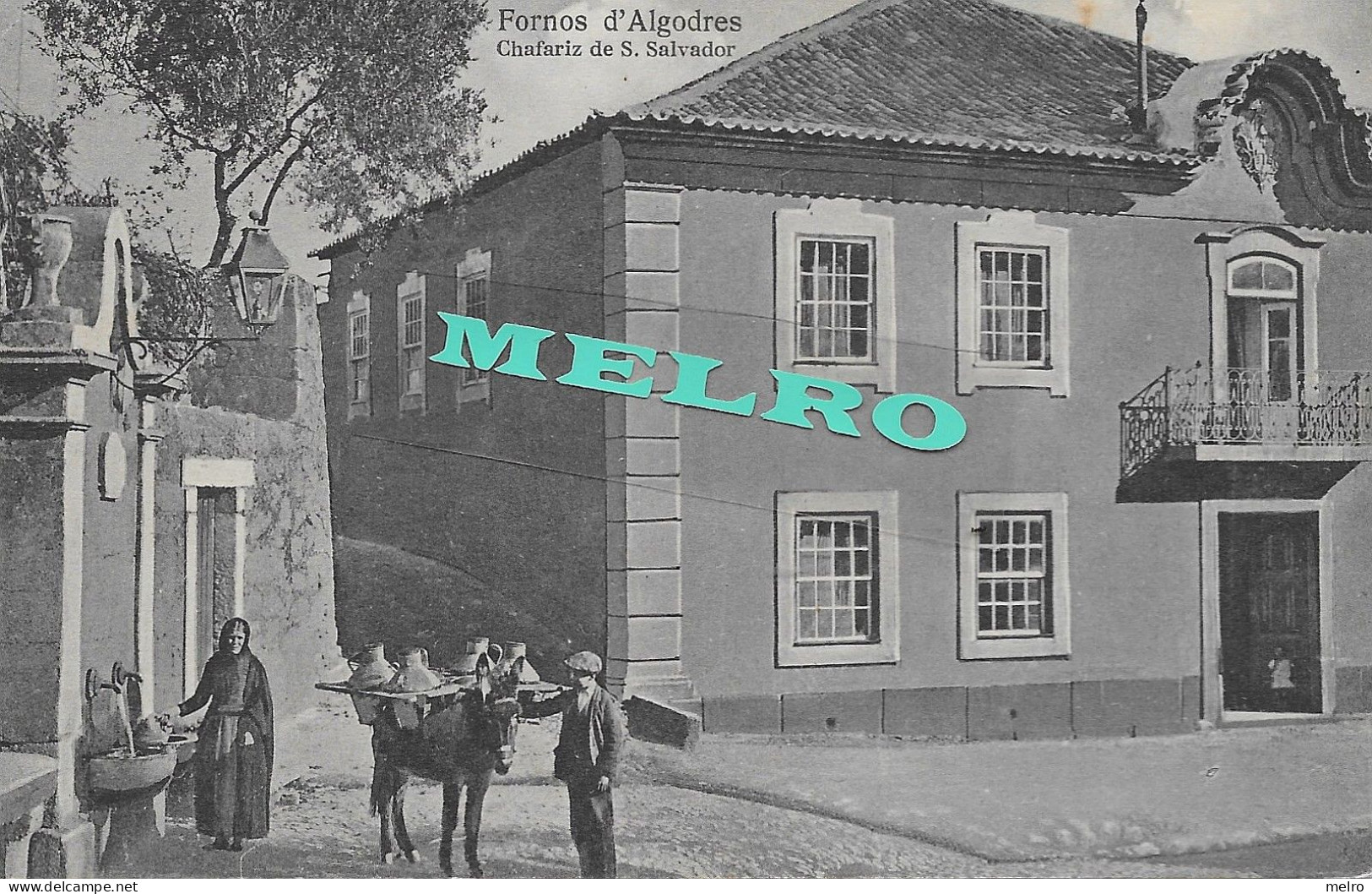 Portugal  - Postal RARO - Fornos D'Algodres - Chafariz De S. Salvador. - Guarda