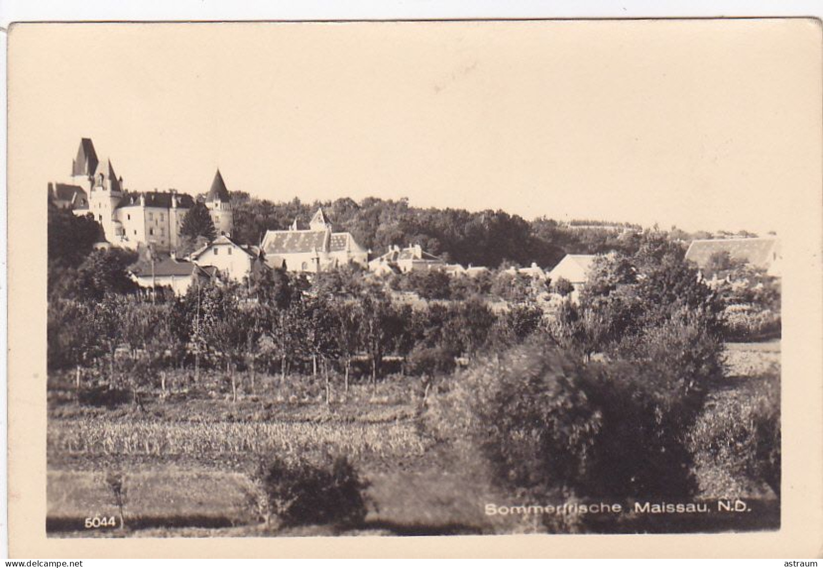 Cpa ( Carte Photo )- Autriche - Maissau -- Sommerfrische- Edi ... N°5044 - Maissau