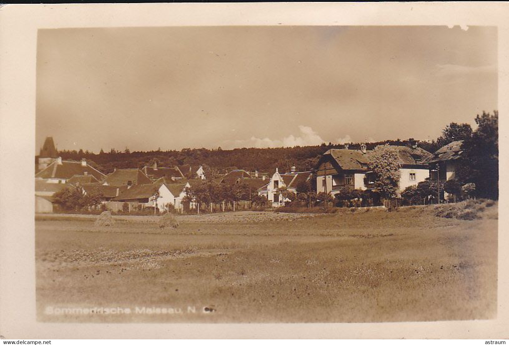 Cpa ( Carte Photo )- Autriche - Maissau -- Sommerfrische - Maissau