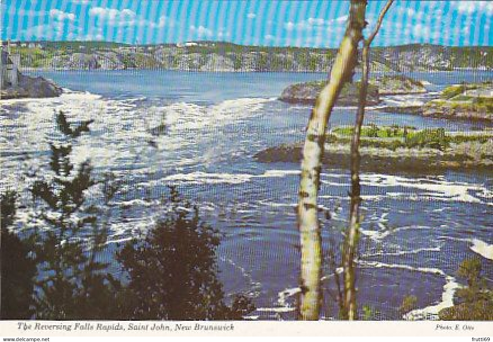 AK 173840 CANADA - New Brunswick - Saint John - The Reversing Falls Rapids - St. John