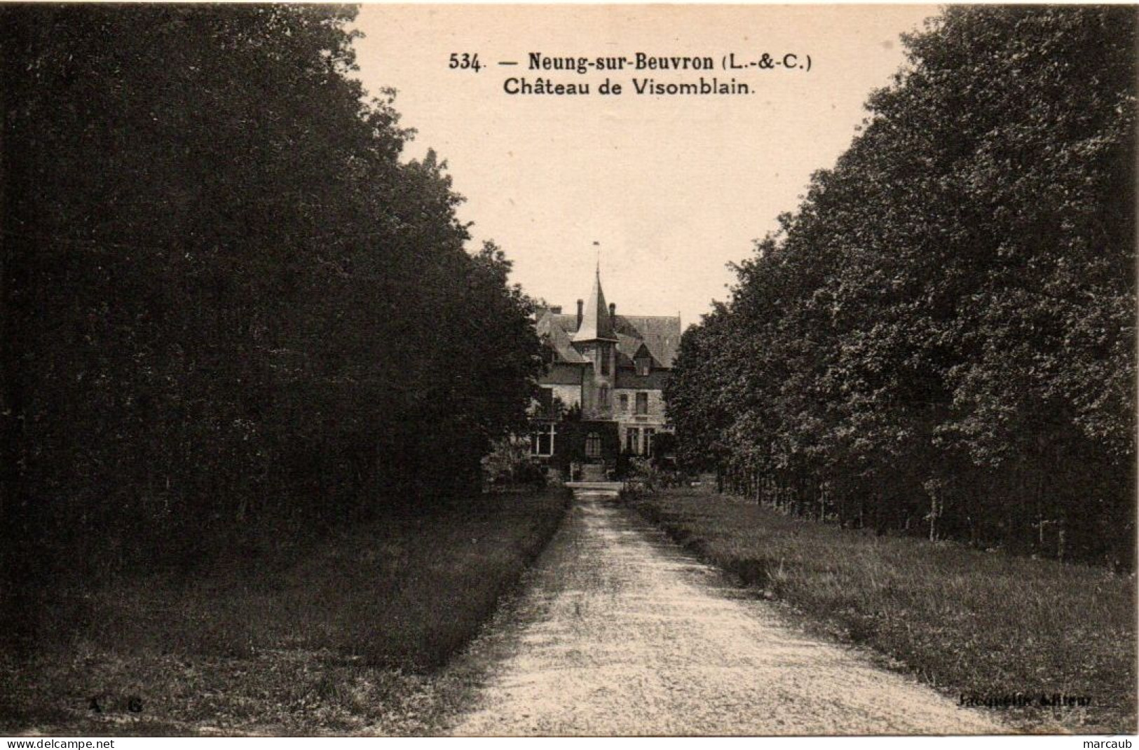 CPA 41 Loir Et Cher - NEUNG Sur Breuvron - Château De Visomblain - Neung Sur Beuvron