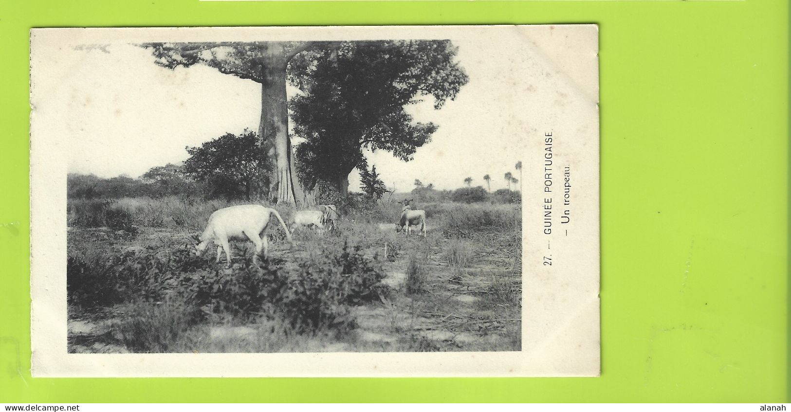 Un Troupeau En Guinée Portugaise (Longuet) Guinea Bissau - Guinea Bissau