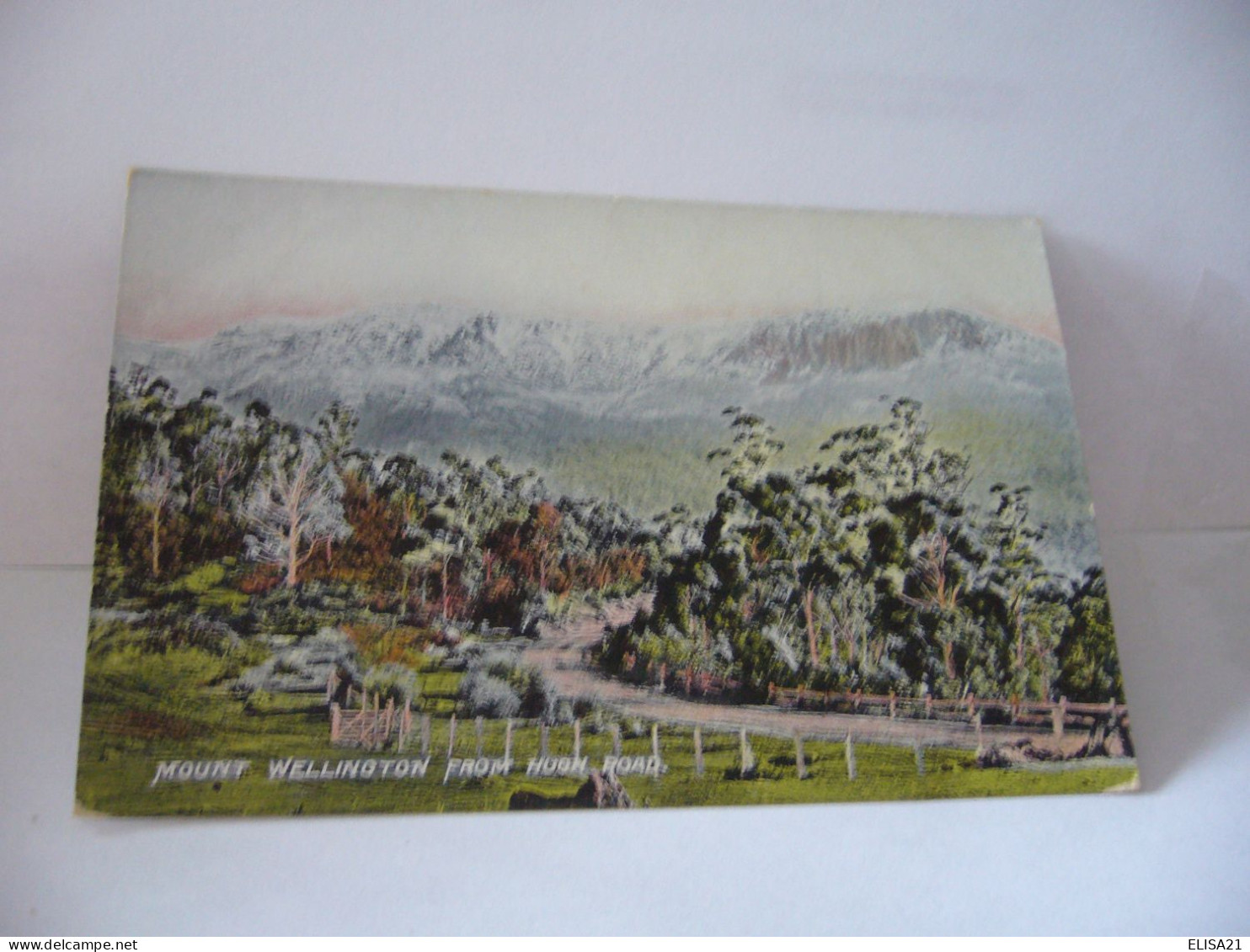 MOUNT WELLIGTON FROM HUON ROAD CPA POST CARD TASMANIA - Sonstige & Ohne Zuordnung