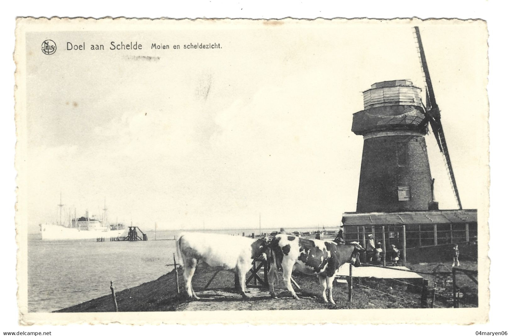 ****  DOEL Aan Schelde  ****  -   Molen En Scheldezicht   -   Zie / Voir / Scan's - Beveren-Waas