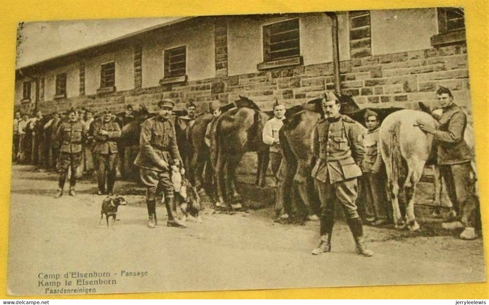 MILITARIA -  Camp D'Elsenborn -  Pansage - Paardenreinigen   -  1922 - Elsenborn (camp)