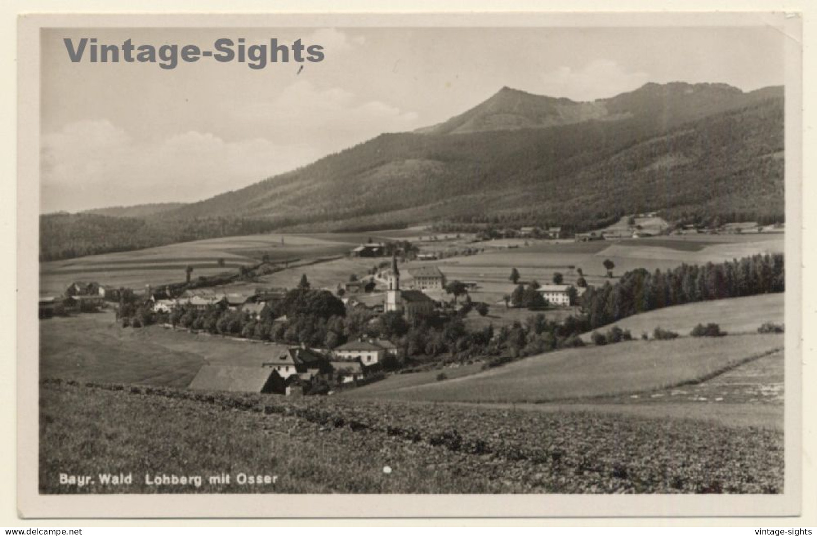 Bayerischer Wald: Lohberg Mit Osser (Vintage RPPC) - Cham