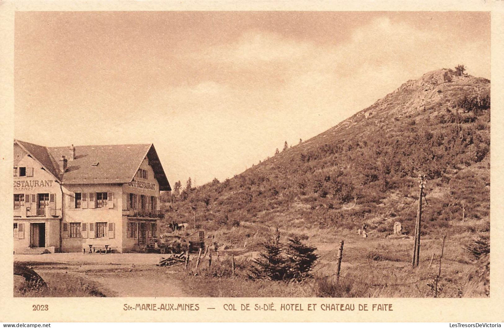 FRANCE - Sainte Marie Aux Mines - Col De St Dié - Hotel Et Chateau De Faite - Carte Postale Ancienne - Sainte-Marie-aux-Mines