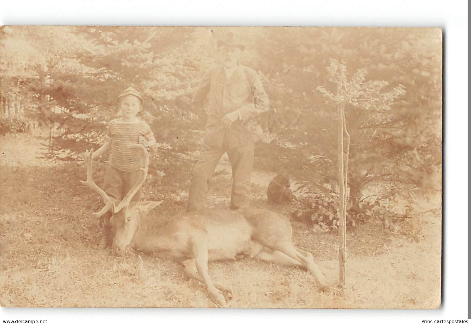 CPA Liechtenstein Carte Photo Vaduz Carte Photo Scene De Chasse Au Cerf - Liechtenstein