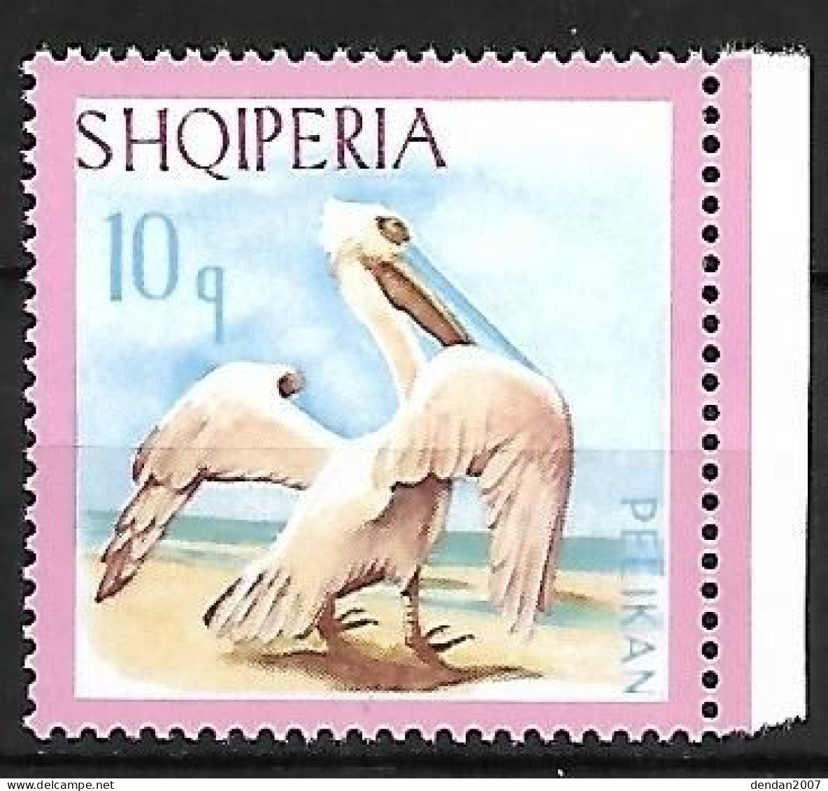 Albania - MNH ** 1967 :   Set (2/5) :  Dalmatian Pelican -   Pelecanus Crispus - Pélicans