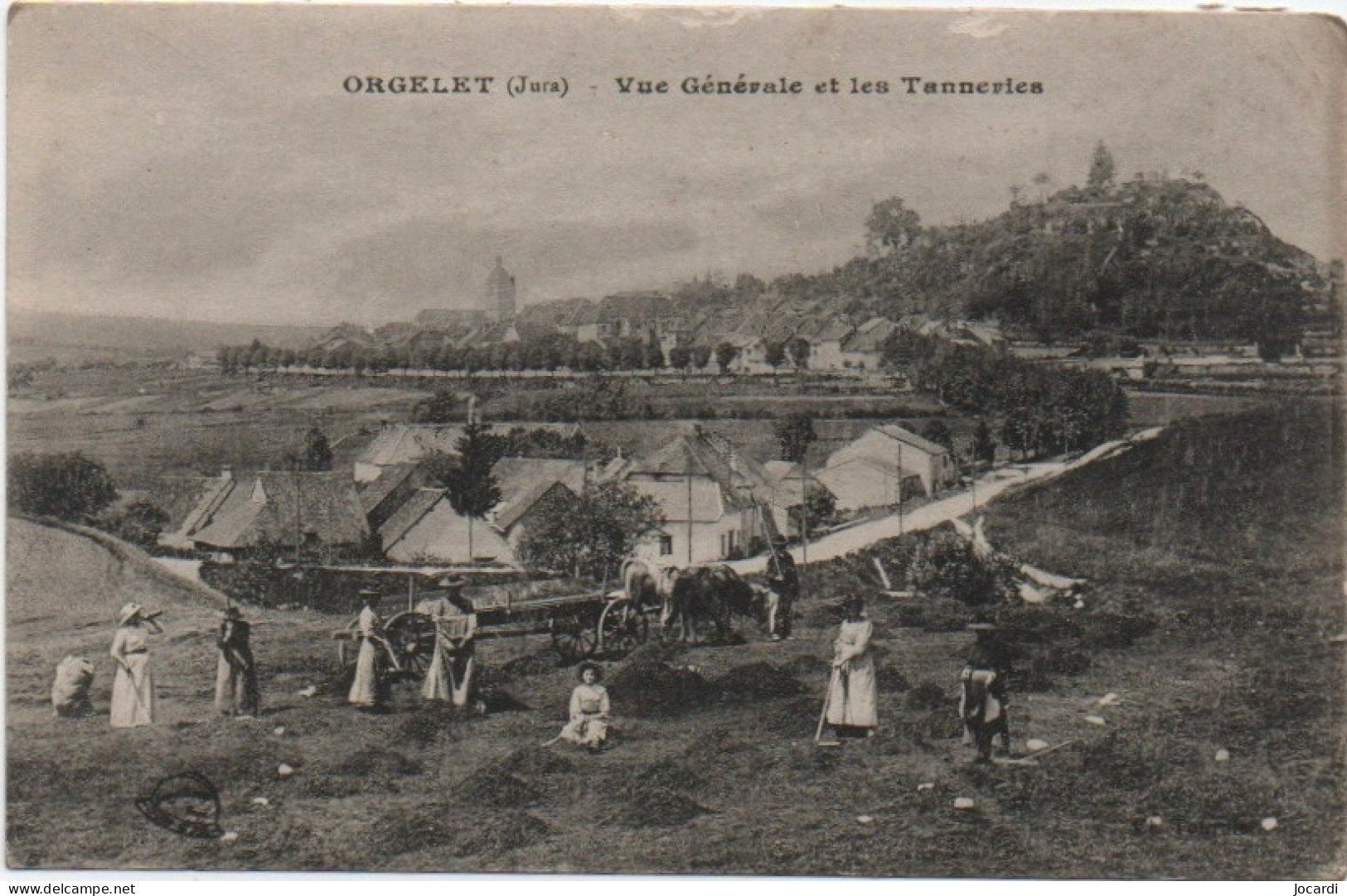 Orgelet, Vue Générale Et Les Tanneries - Orgelet