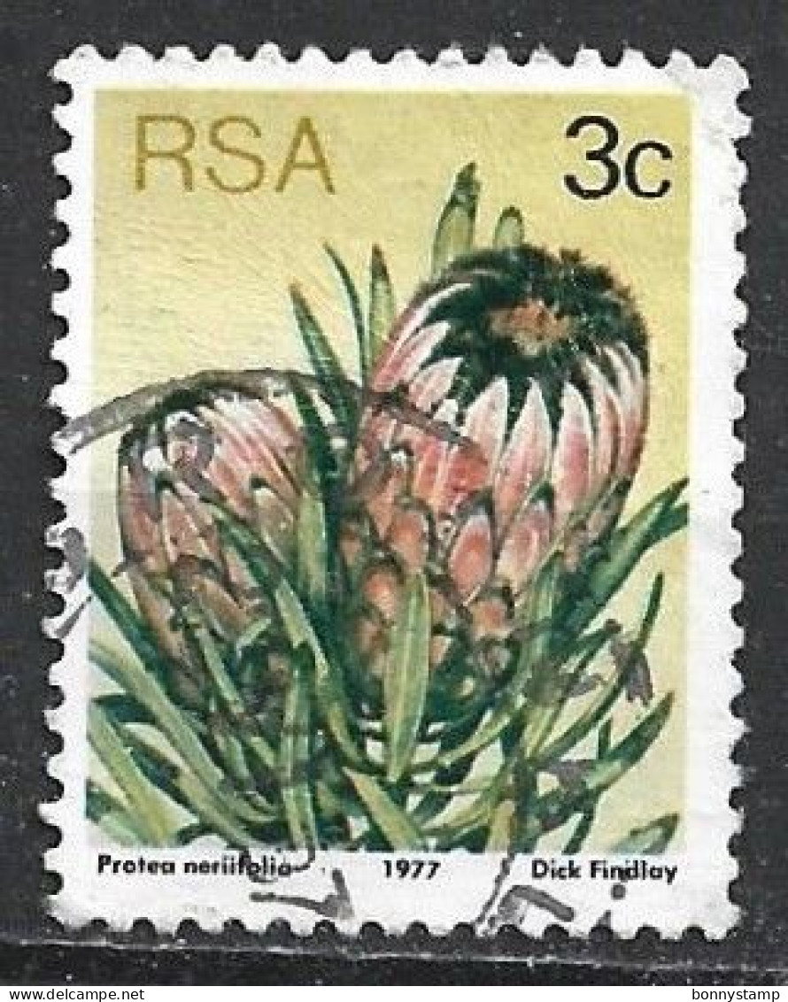 Sud Africa, 1977 3c P. Neriifolia - Nr.477 Usato° - Gebraucht