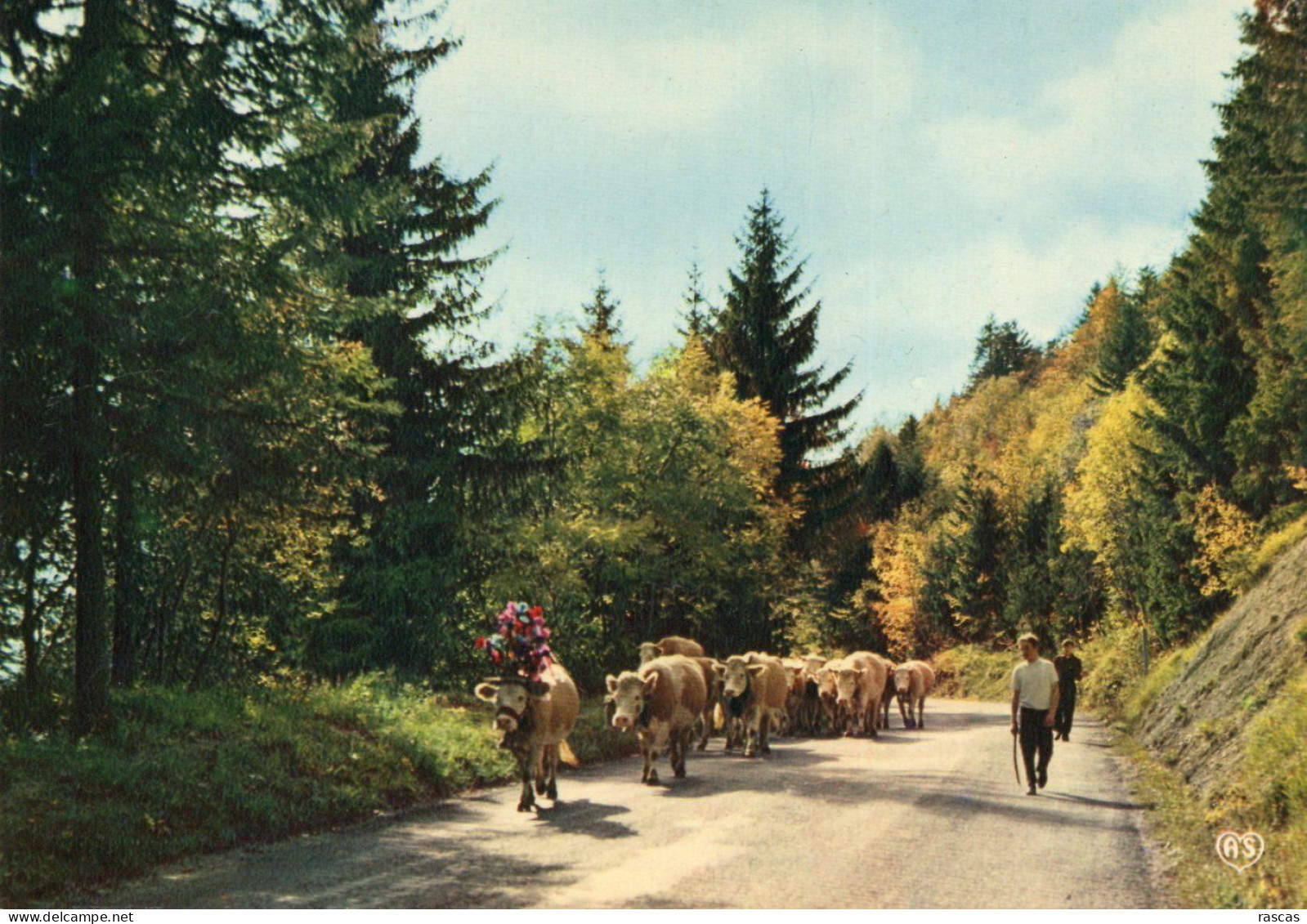 CPM - R - FRANCHE COMTE PITTORESQUE - RETOUR DES PATURAGES - Franche-Comté