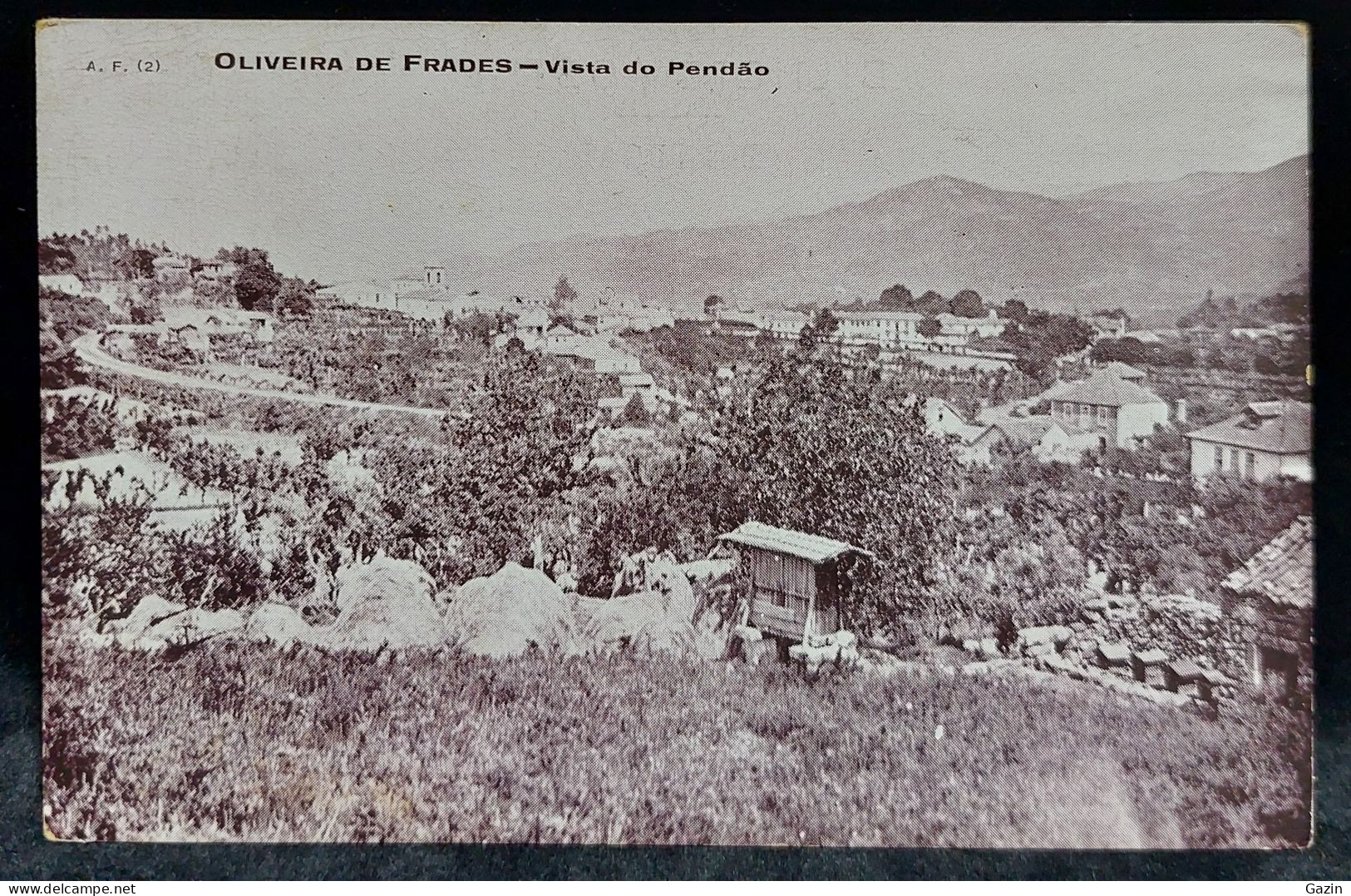 C6 /1 - Postal * Oliveira De Frades * Vista Do Pendão * Viseu* Portugal - Viseu