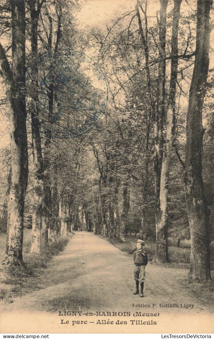 FRANCE - Ligny-en-Barrois - Le Parc - Allée Des Tilleuls - Carte Postale Ancienne - Ligny En Barrois