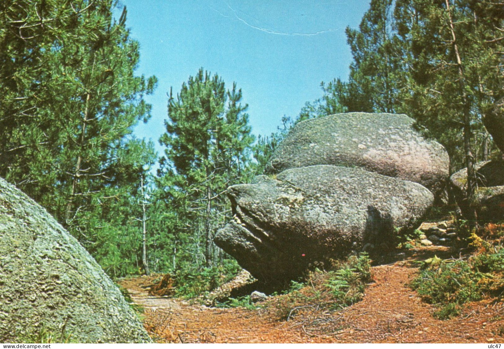 - Serra De Estrela (Portugal) - Cabeça De Velha (Seia) - Scan Verso - - Guarda