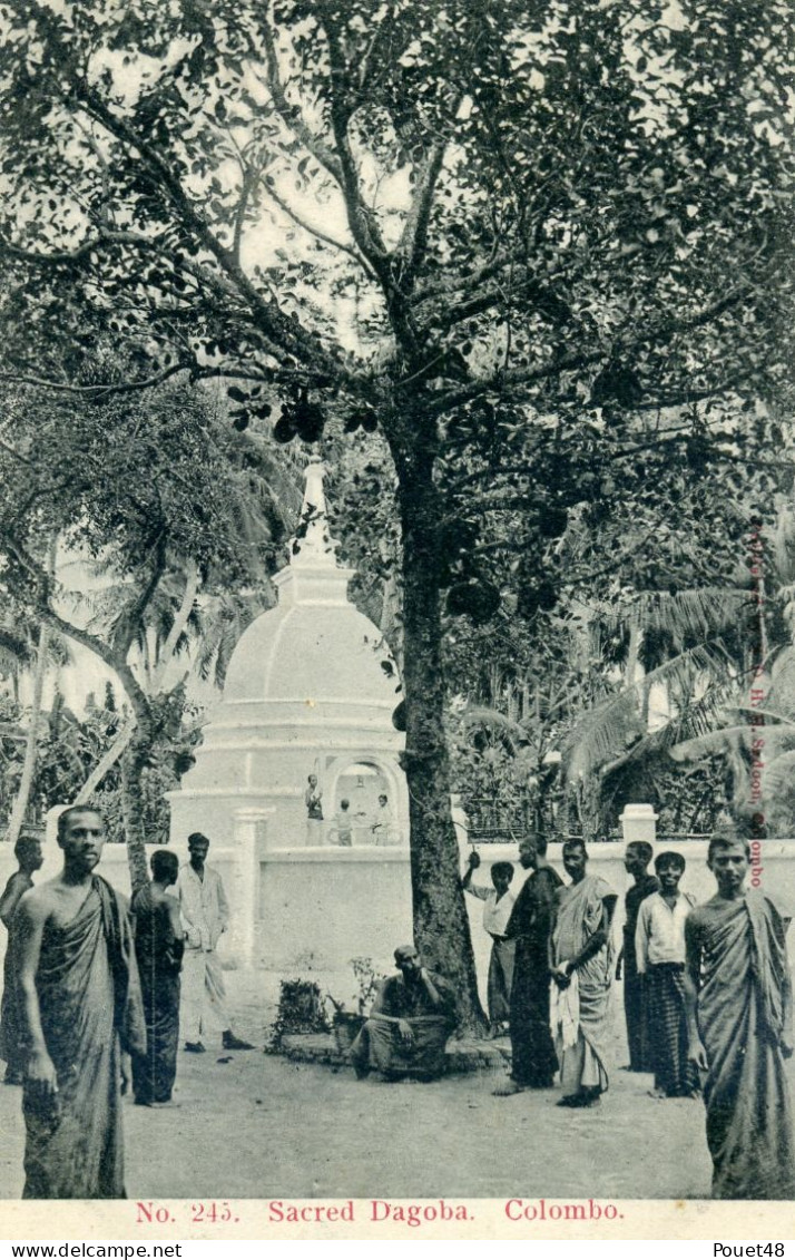 SRI LANKA - Colombo - Sacred Dagoha - Sri Lanka (Ceylon)