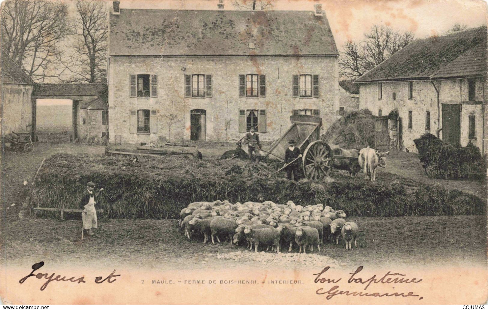 78 - MAULE _S23985_ Ferme De Bois Henri - Intérieur - Agriculture - En L'état - Maule