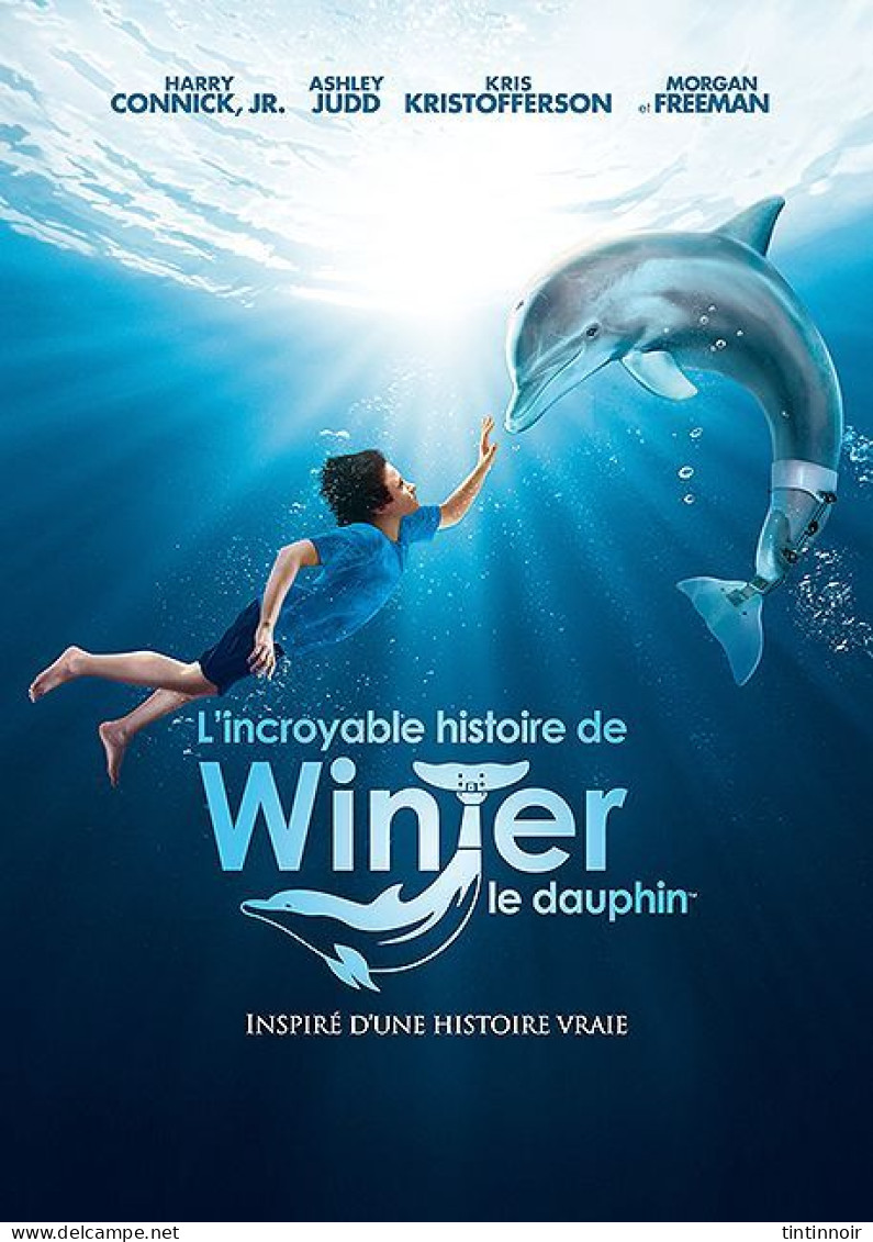 DVD Neuf Sous Blister L'incroyable Histoire De Winter Le Dauphin - Children & Family