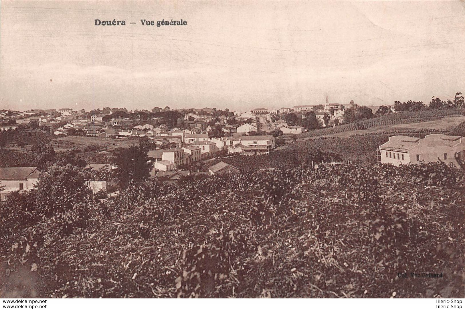 Algérie > DOUÉRA - Vue Générale Édit. Vve GRISARD - Other & Unclassified
