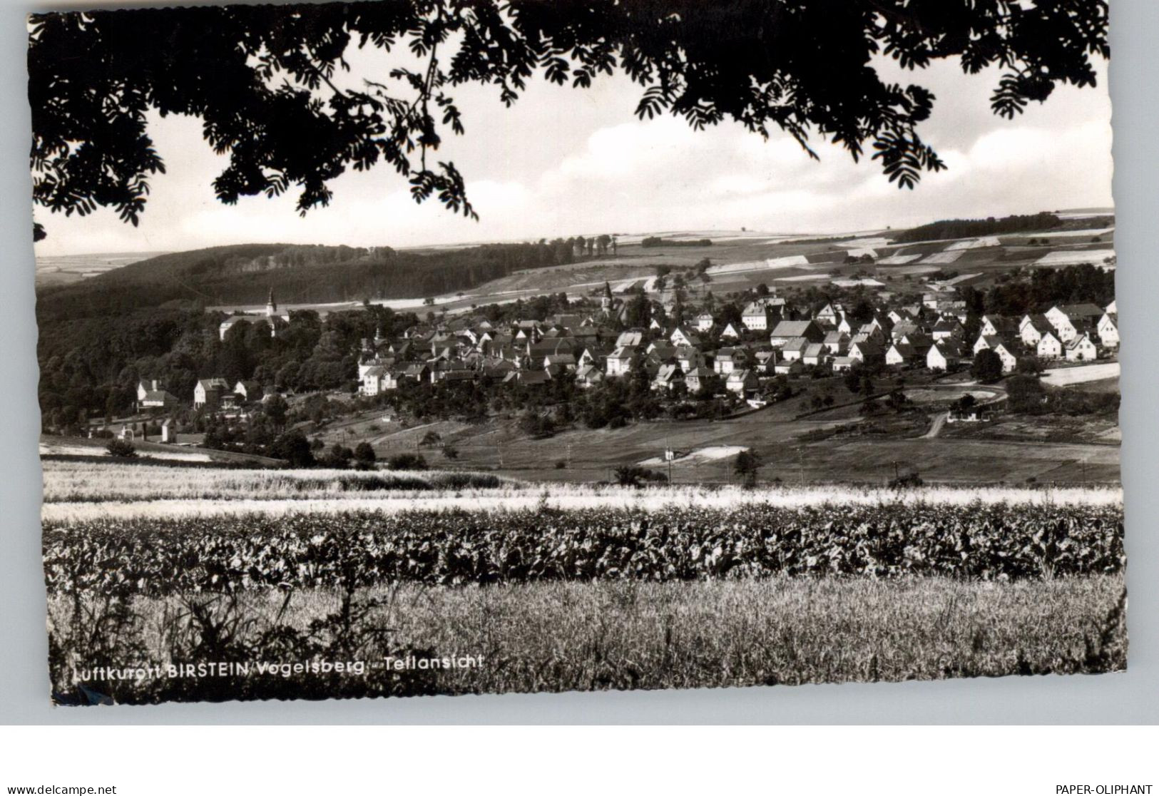 6484 BIRSTEIN, Blick über Den Ort, 196... - Gelnhausen