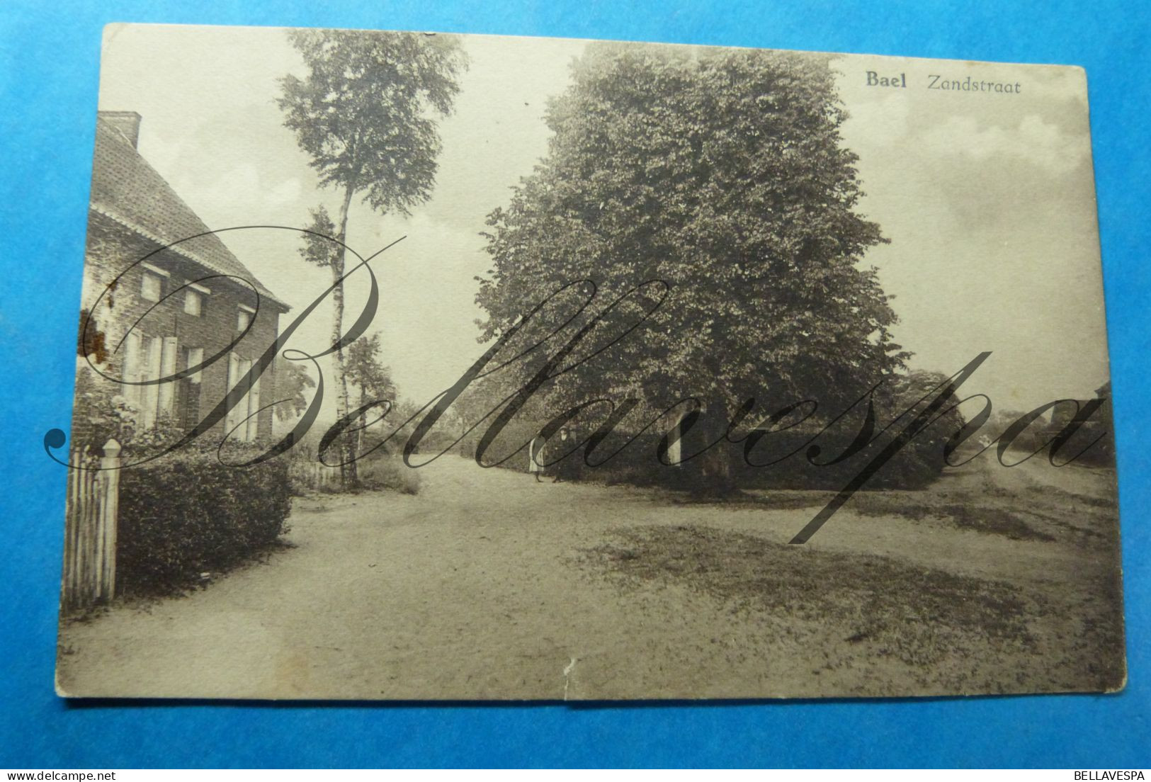 Baal -Tremelo Zandstraat  Kapel Met Lindenboom - Tremelo