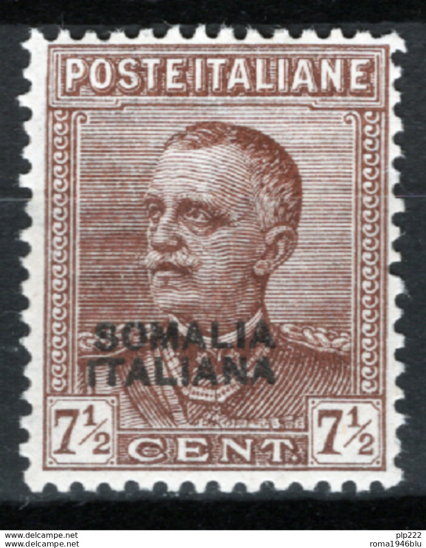 Somalia 1928 Sass.116 **/MNH VF/F - Somalie