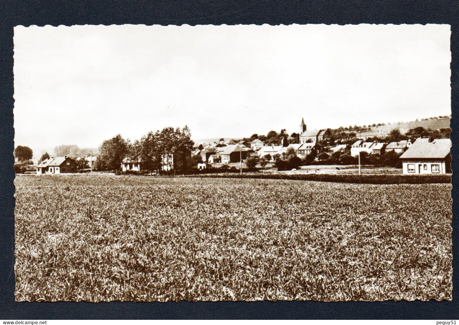 Baranzy ( Musson). Panorama Avec L'église De La Sainte-Famille - Musson