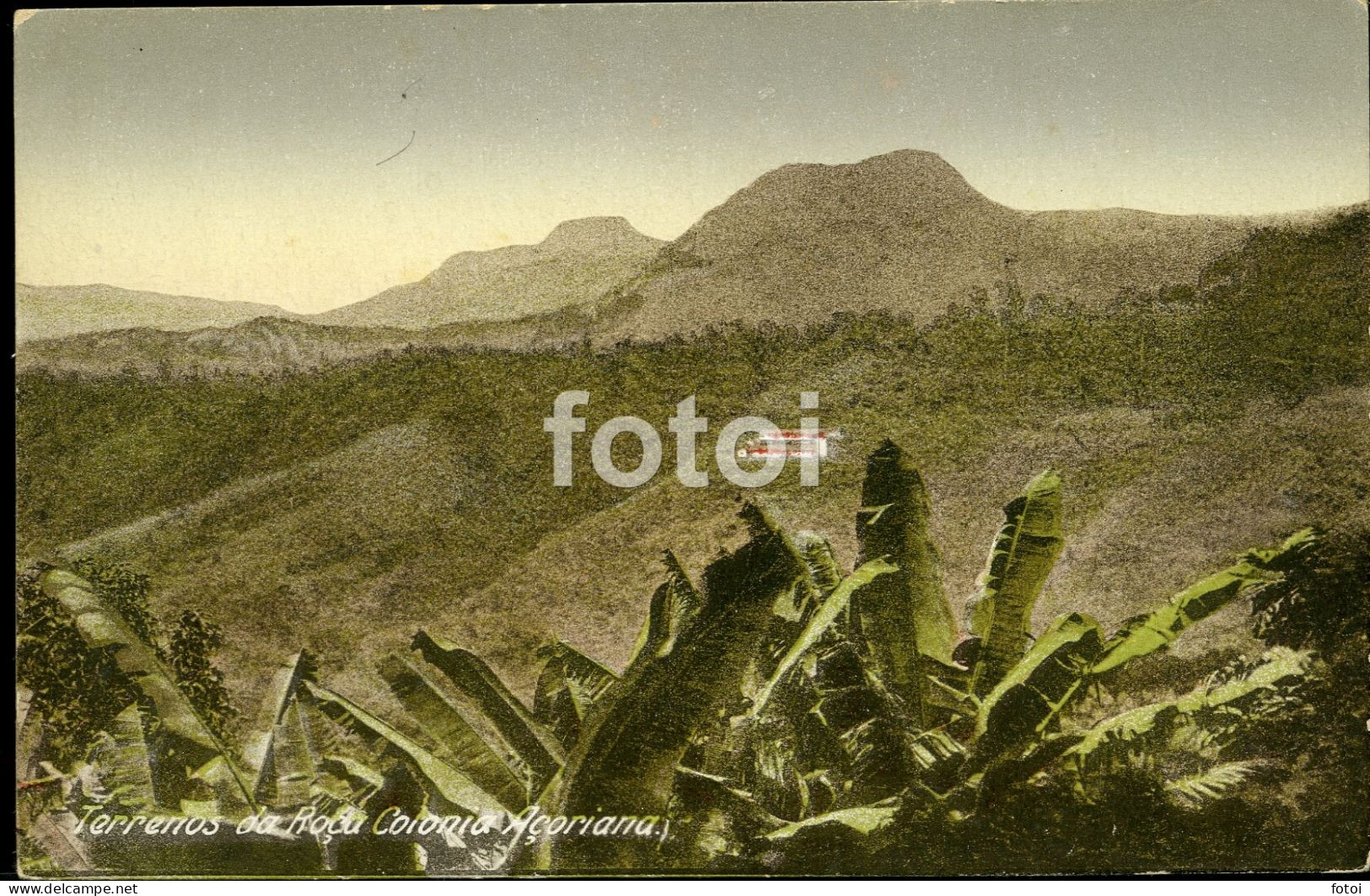 PHOTO POSTCARD LANDS ROÇA COLONIA AÇORIANA SÃO TOMÉ E PRINCIPE AFRICA - Sao Tome Et Principe