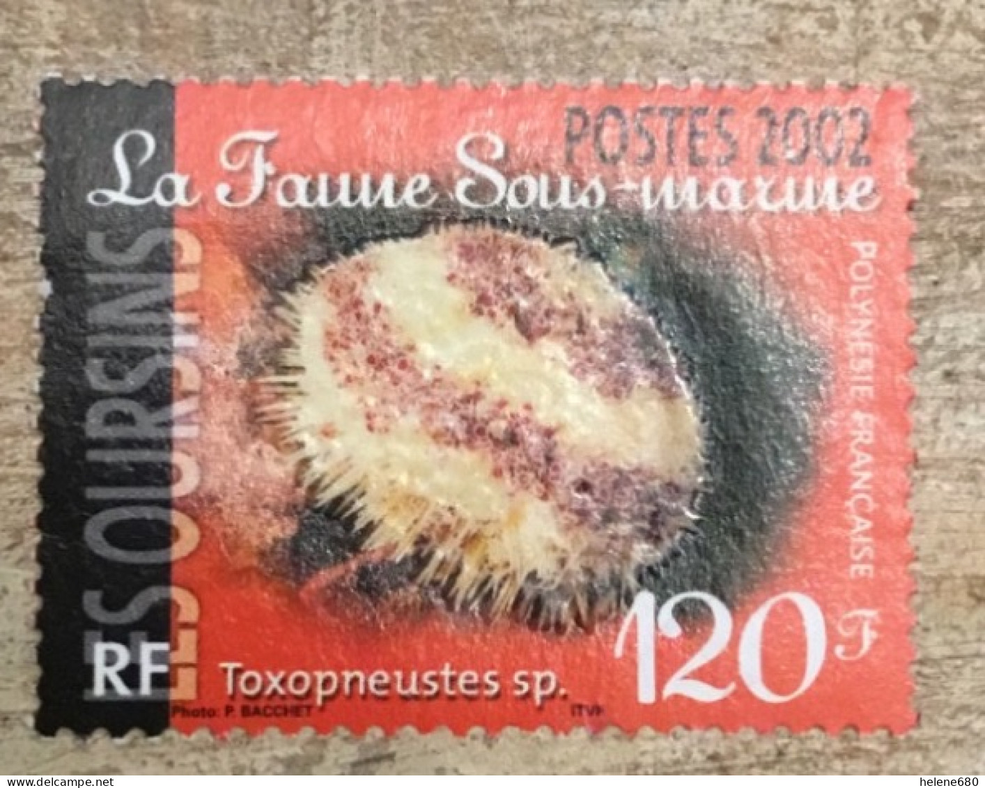 POLYNÉSIE. Faune Sous-marine N° 666 - Used Stamps