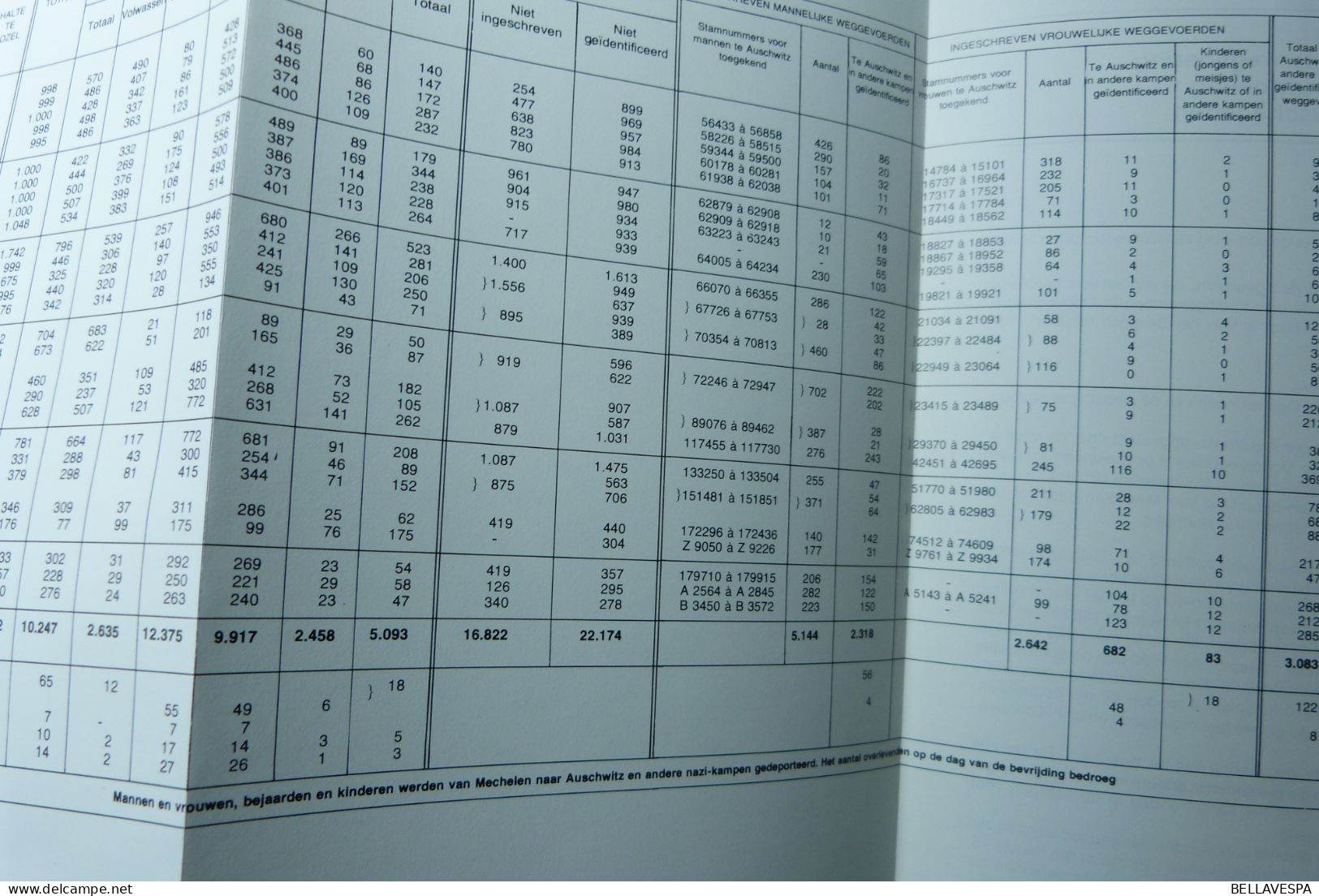 "Dossier Brussel AUSCHWITZ" 1940-1945  SS politie en  het uitroeien van de Joden  door Maxime STEINBERG  Proces '80-1981