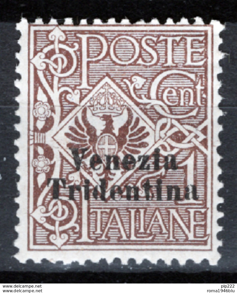 Trentino Alto Adige 1918 Sass.19 **/MNH VF/F - Trento