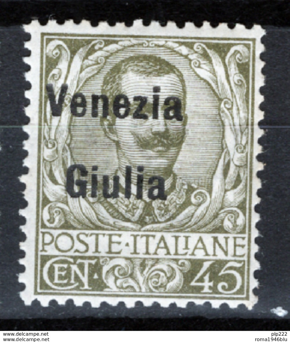 Venezia Giulia 1918 Sass.26 **/MNH VF/F - Venezia Giuliana