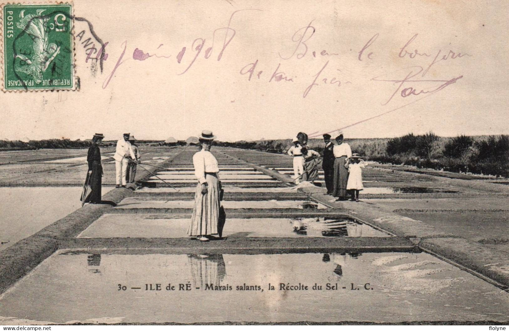 Ile De Ré - Marais Salants , La Récolte Du Sel - Paludiers - Riberac