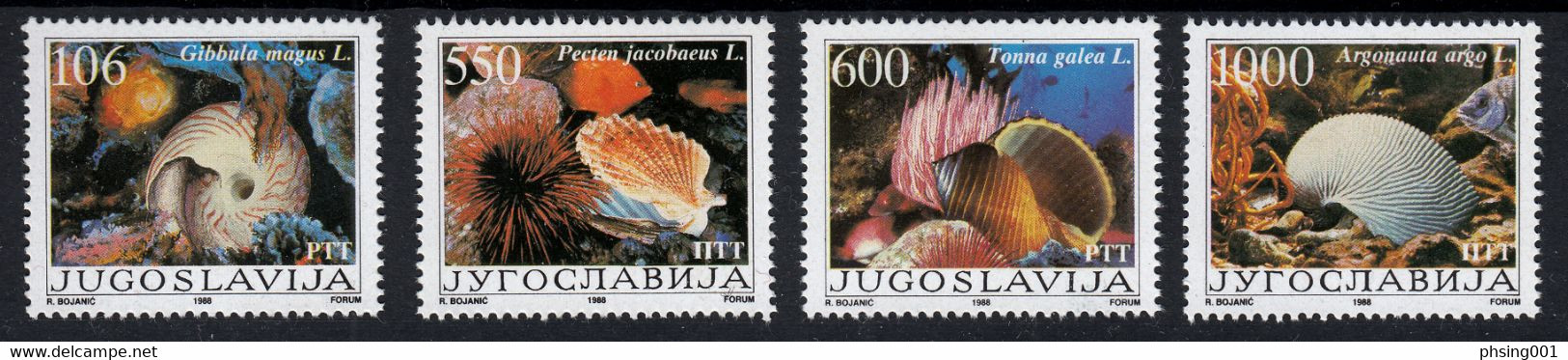 Yugoslavia 1988 Fauna Seashell Gibulla MogusPecten Jacobaeus Tonna Galea Argonauta Argo, Set MNH - Sonstige & Ohne Zuordnung