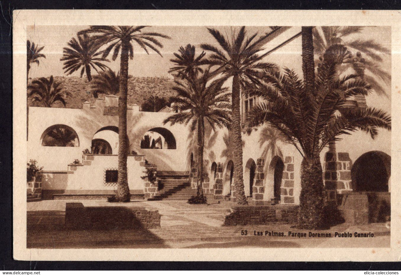 España - Circa 1920 - Postcard - Doramas Park - La Palma