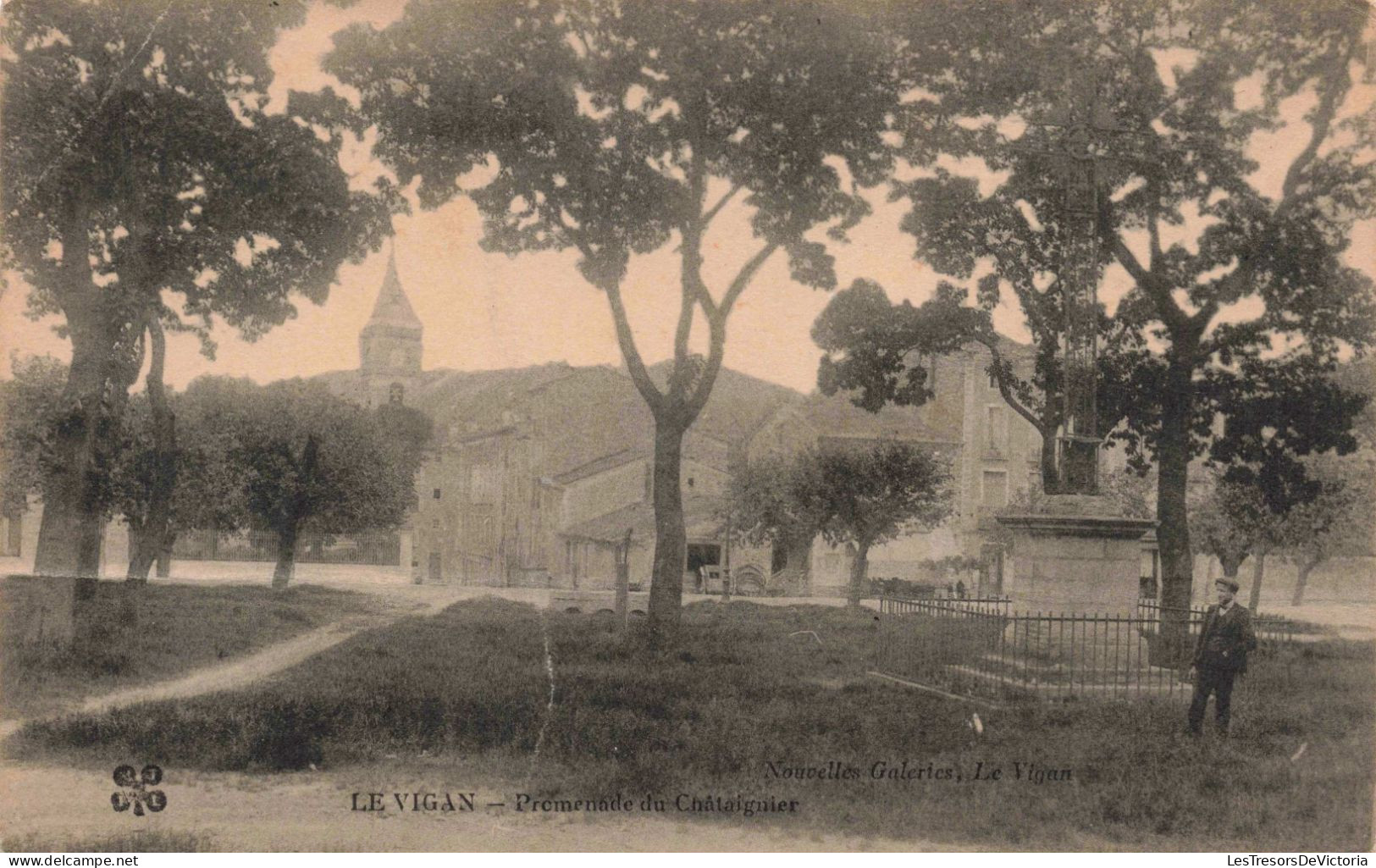 FRANCE - Le Vigan - Promenade Du Châtaignier - Carte Postale Ancienne - Le Vigan